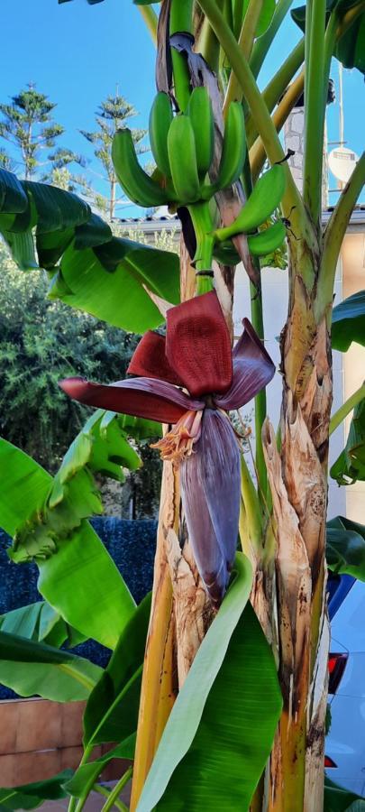 El Cosy De La Costa Apartment Cambrils